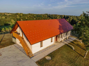 Apartments LESKOVAR